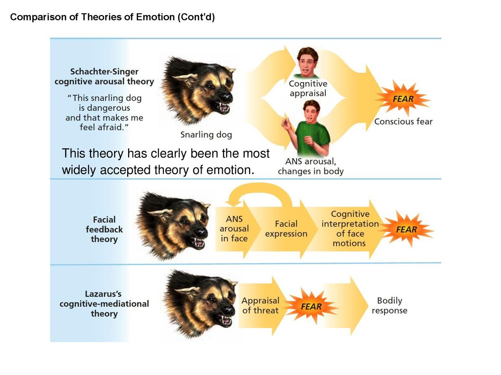Motivation and Emotion ppt download